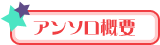 �A���\���T�v